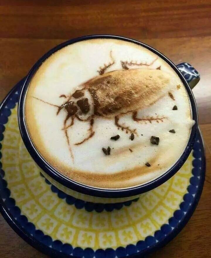 cappuccino with cockroach