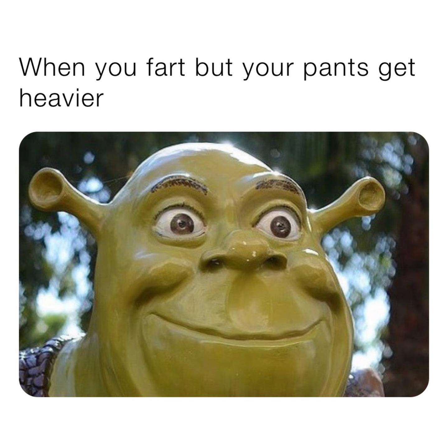 somebody once told me memes - When you fart but your pants get heavier
