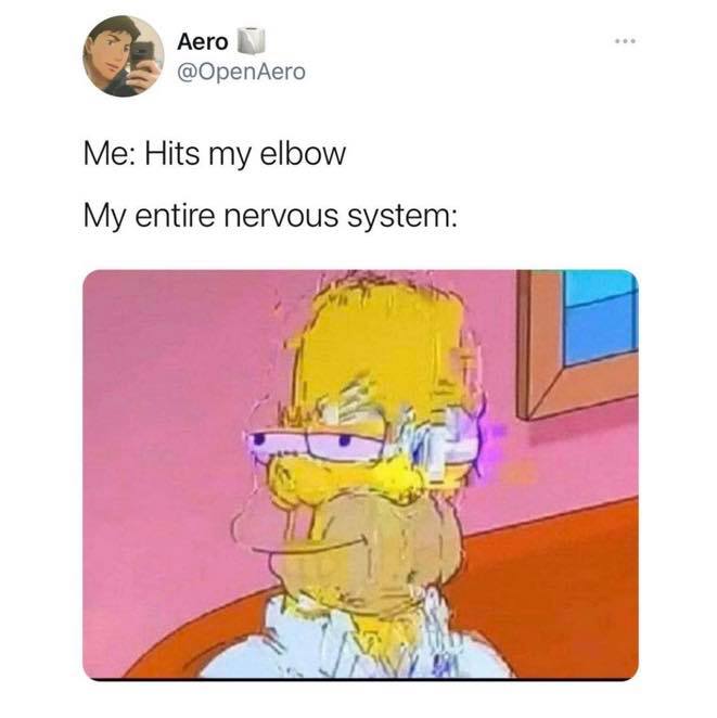 hit elbow meme - Aero Me Hits my elbow My entire nervous system
