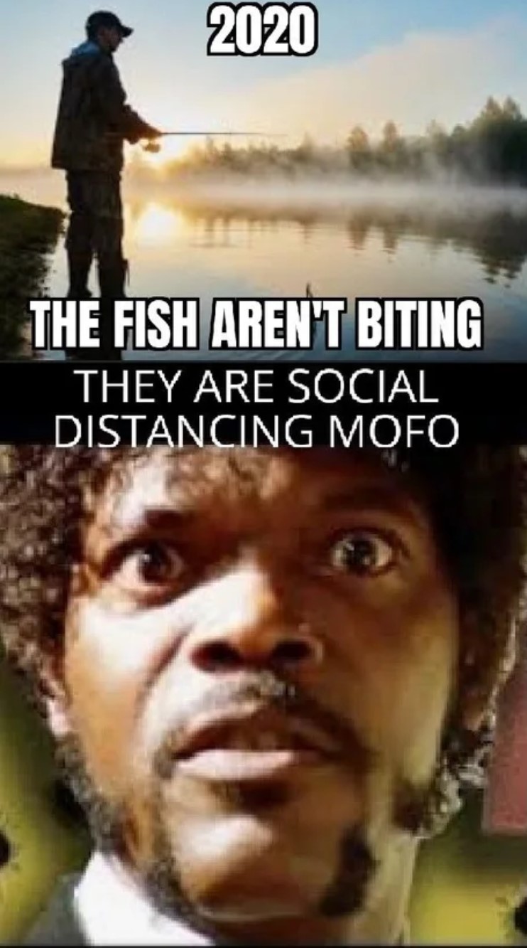 jules winnfield - 2020 The Fish Aren'T Biting They Are Social Distancing Mofo