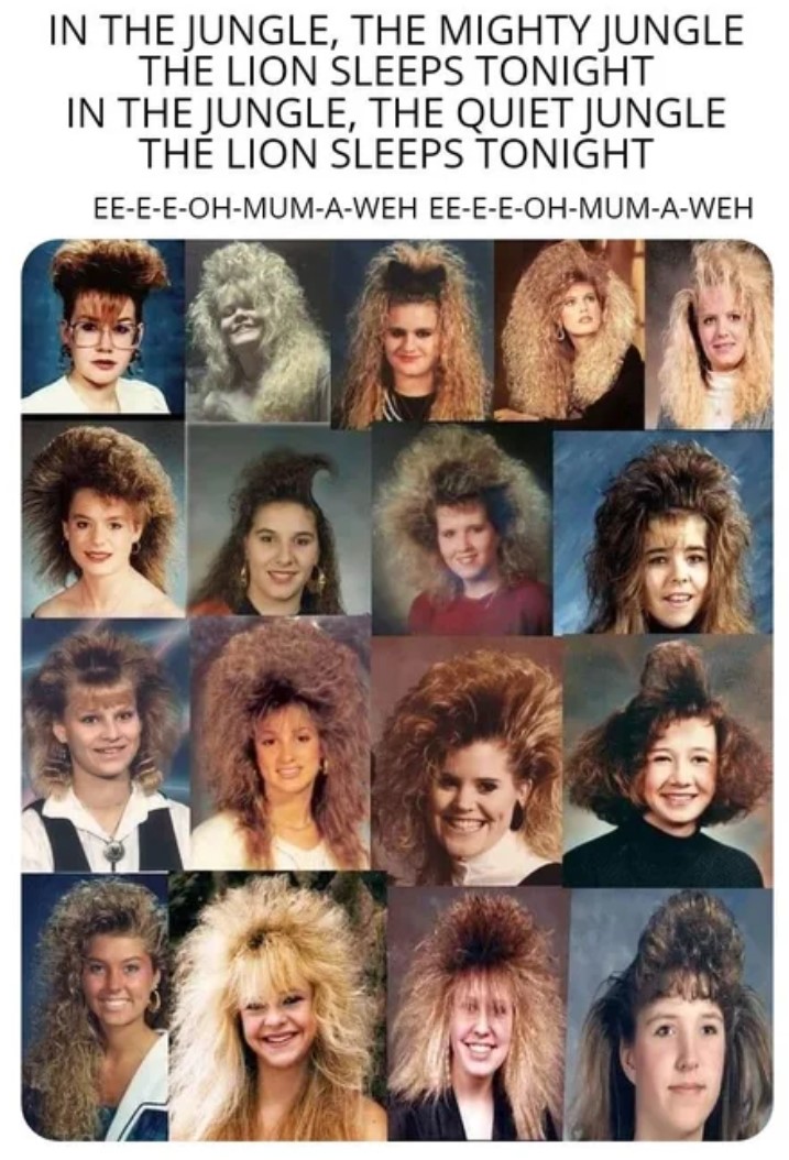 80s hair meme - In The Jungle, The Mighty Jungle The Lion Sleeps Tonight In The Jungle, The Quiet Jungle The Lion Sleeps Tonight EeEEOhMumAWeh EeEEOhMumAWeh