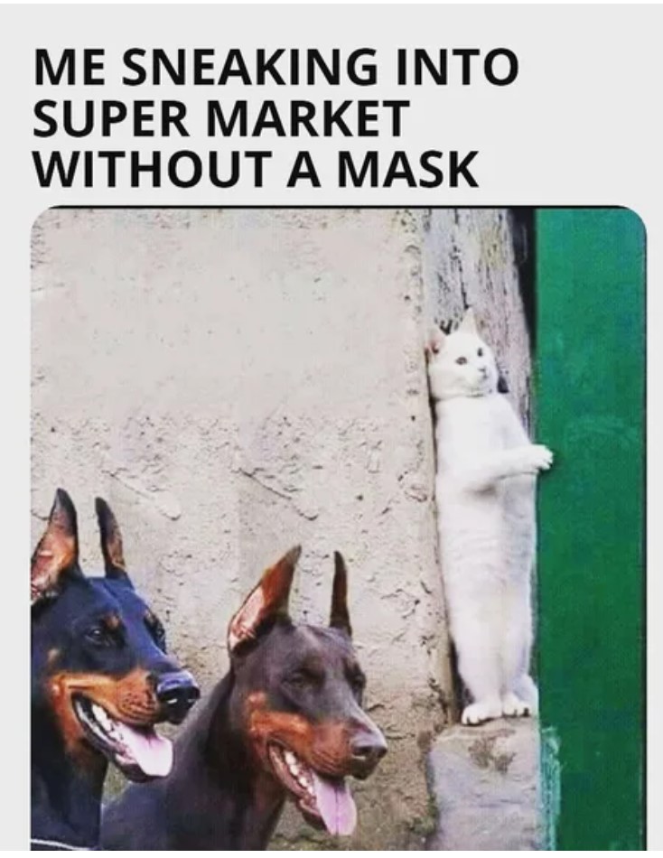 legend memes funny - Me Sneaking Into Super Market Without A Mask