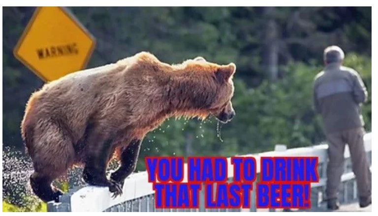 fastest black bear - Warning You Hadit Drin That Last Beer!