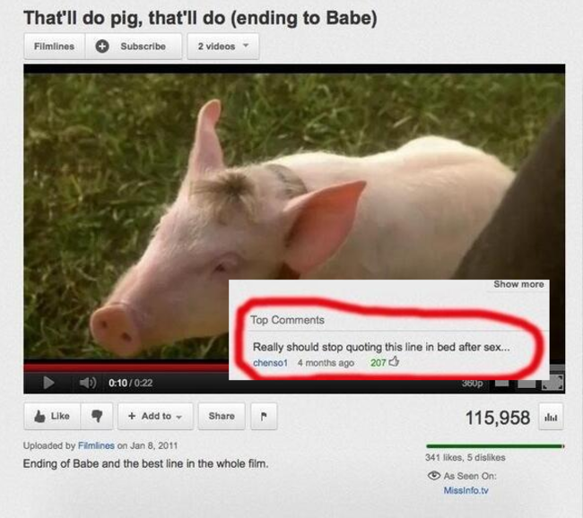 youtube comments - youtube comment babe the pig - That'll do pig, that'll do ending to Babe Filmlines Subscribe 2 videos Show more Top Really should stop quoting this line in bed after sex... chenso 4 months ago 2070 022 Add to 115,958 Uploaded by Fimine 