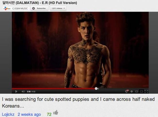 youtube comment muscle - Som! Dalmatian E.R Hd Full Version a Ciebm Musko 25914 I was searching for cute spotted puppies and I came across half naked Koreans... Lojickz 2 weeks ago 721