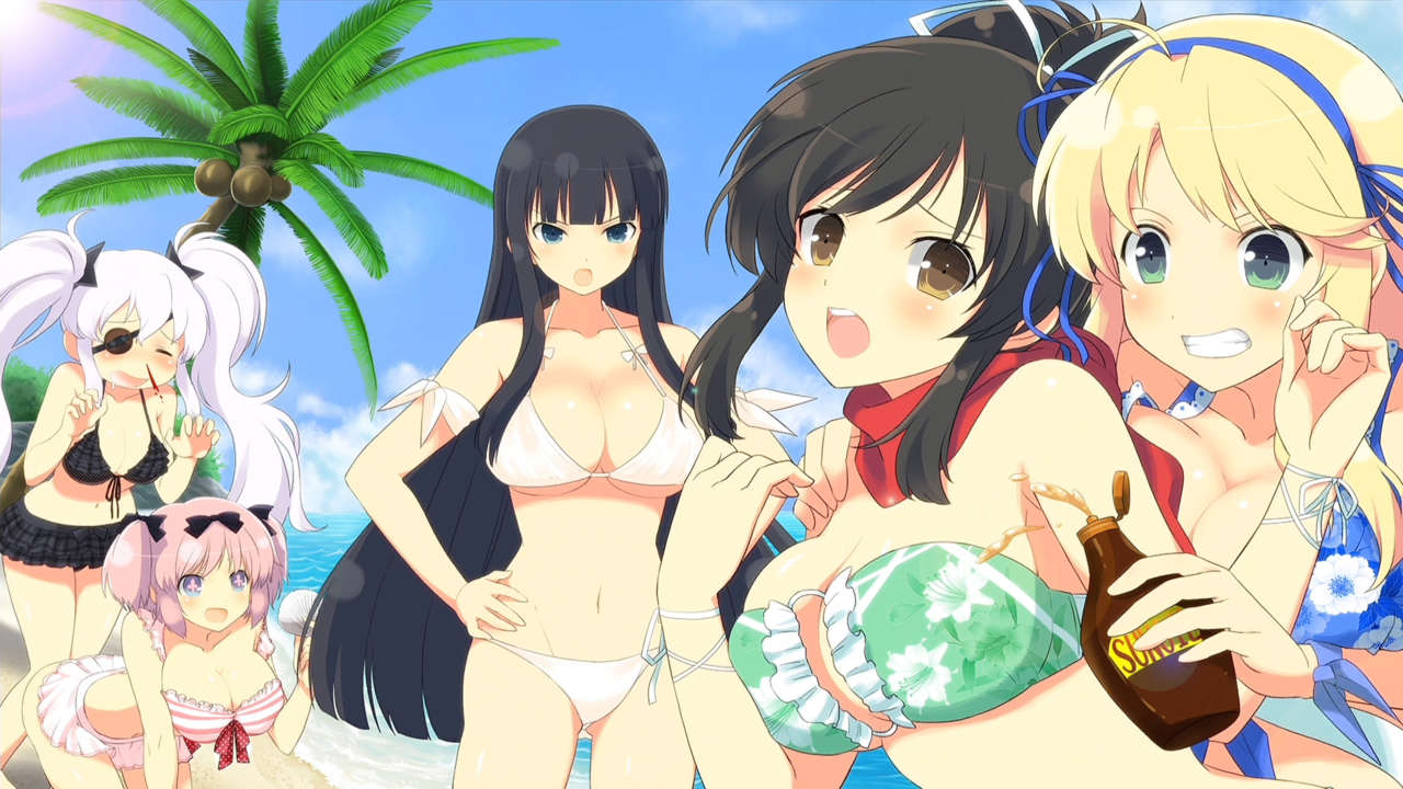 gaming franchise crossovers - Senran Kagura and Dead or Alive