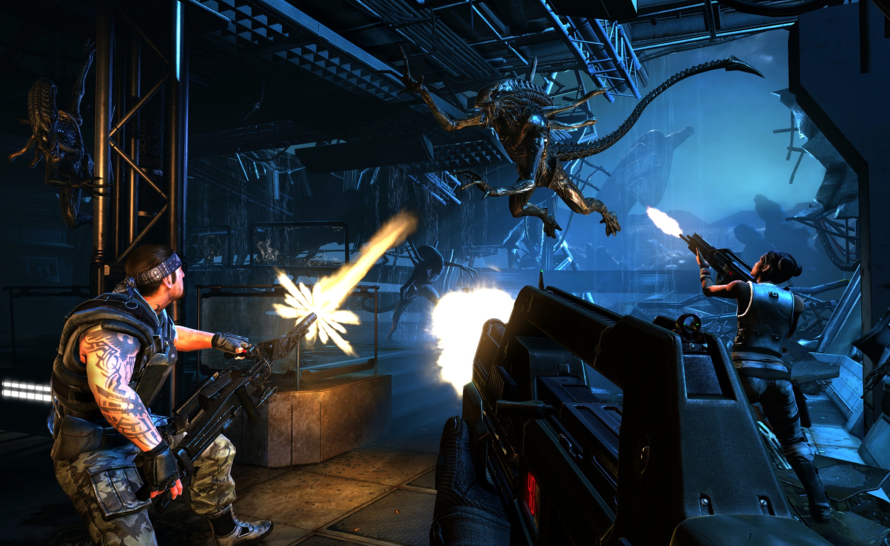 videos game launch glitches - Aliens: Colonial Marines