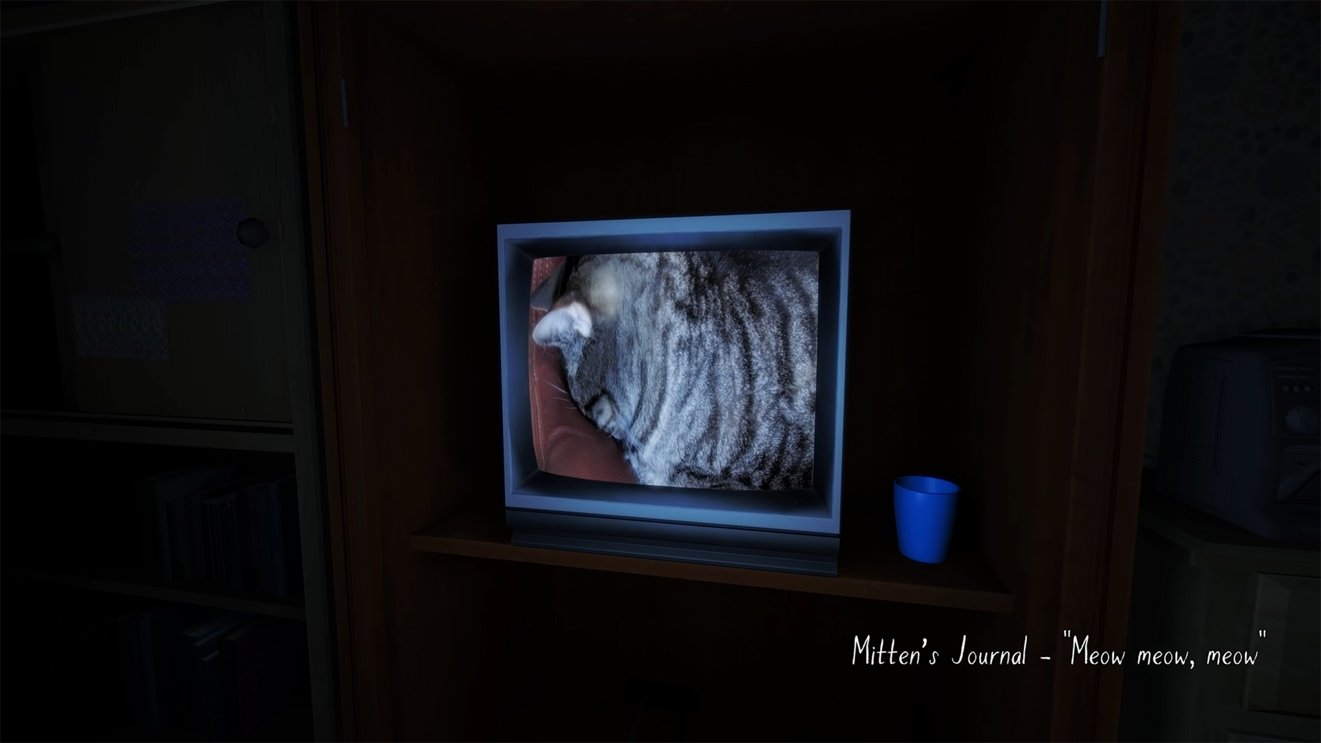 video game secrets  - Gone Home (Cats)