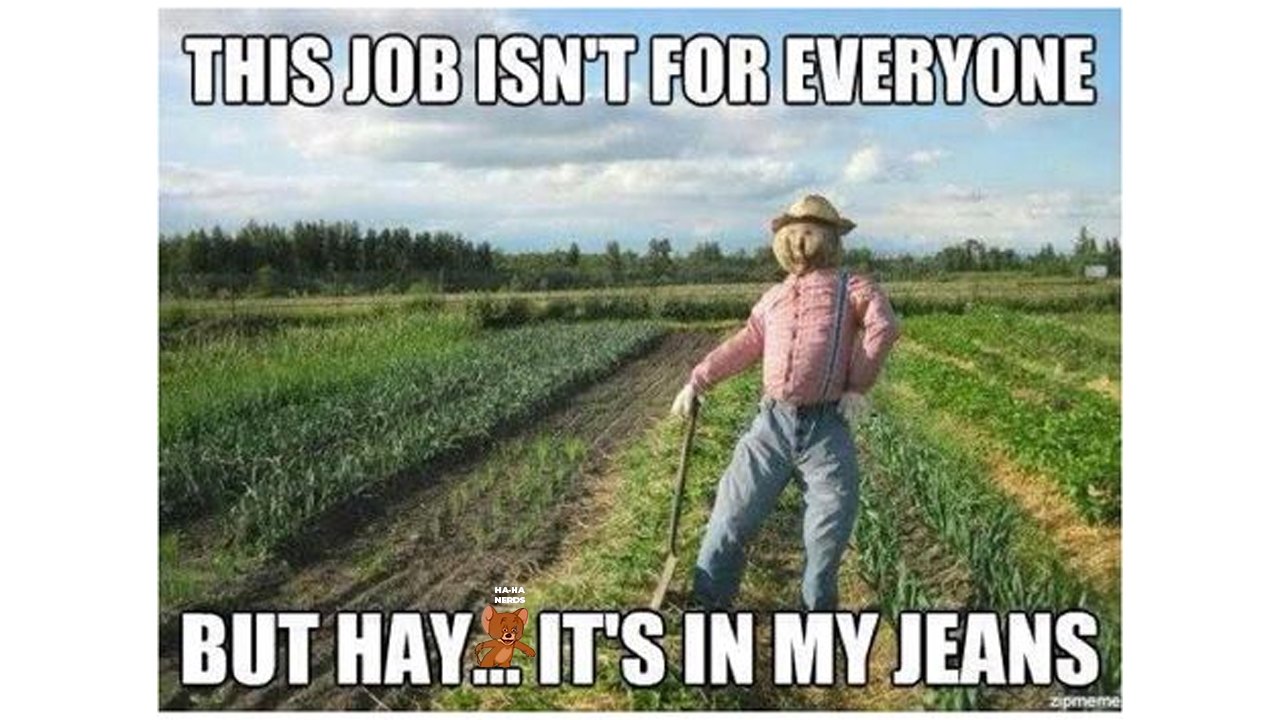 deadly things - agriculture memes - This Job Isnt For Everyone But Hay... It'S In My Jeans zapreme