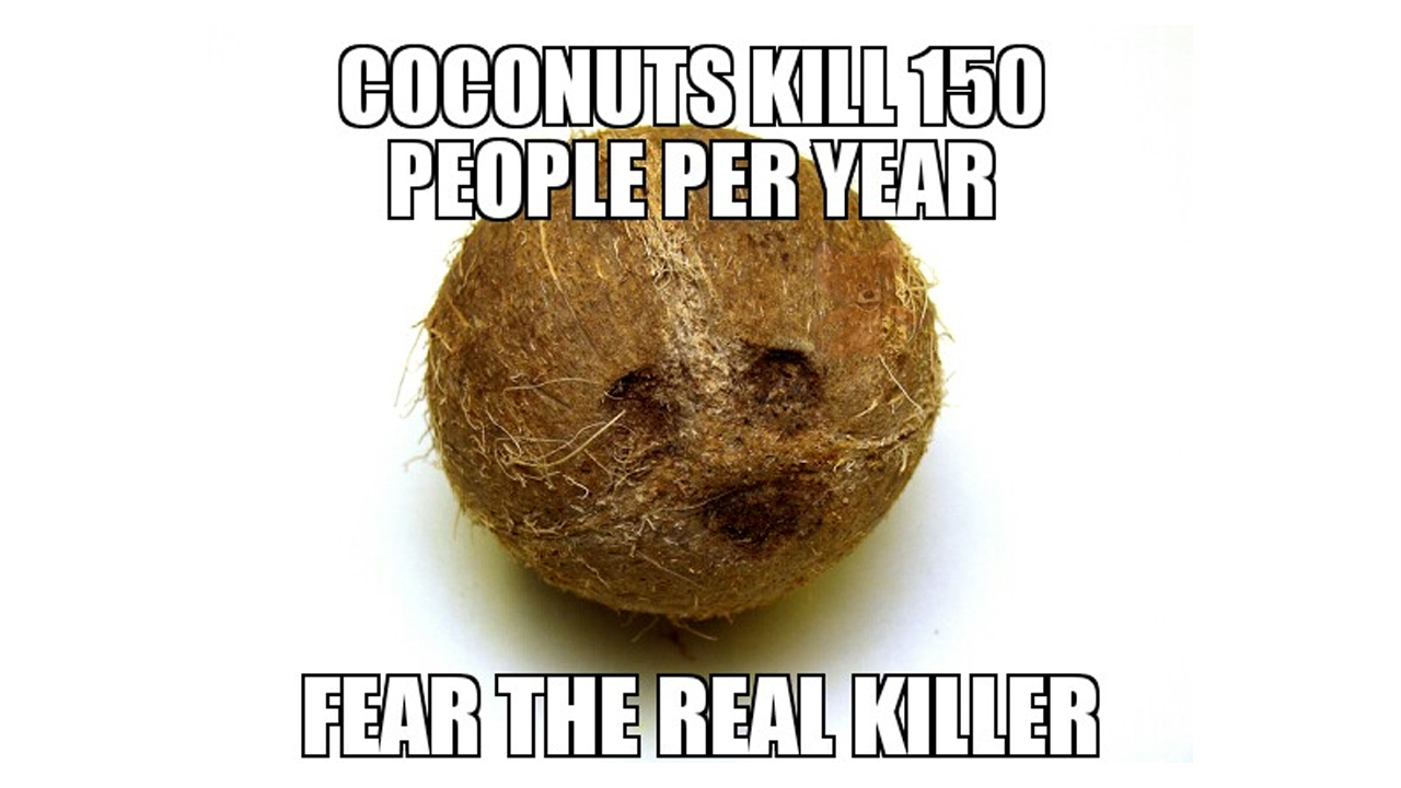 kills the crab - Coconuts Kill 150 People Per Year Fear The Real Killer