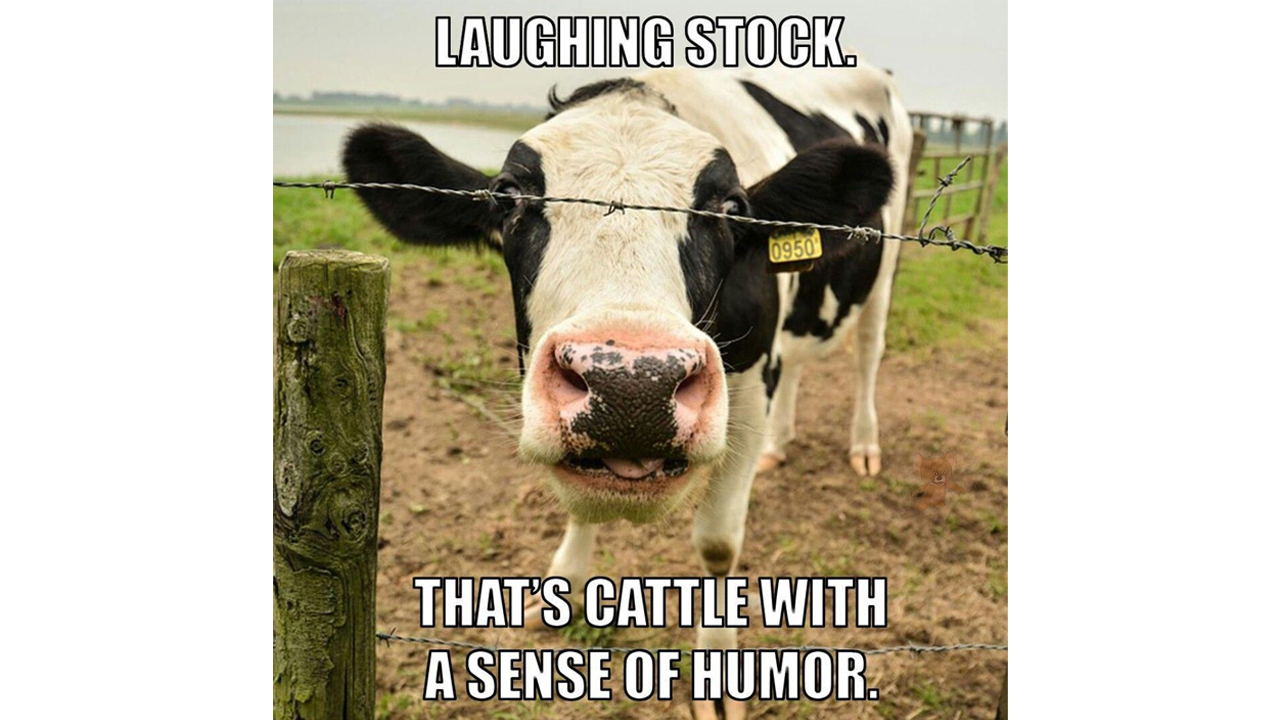 farmers memes - Laughing Stock. That'S Cattle With A Sense Of Humor.
