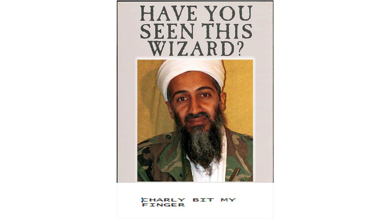 "Understand this, Harry, 'cause it's very important - not all wizards are good. Some of them go bad. A few years ago there was one wizard that went as bad as you can go."