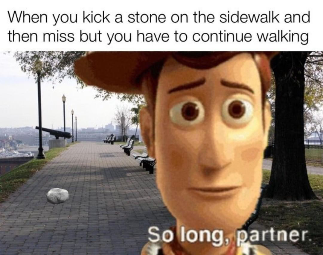 dank memes - horrible memes - When you kick a stone on the sidewalk and then miss but you have to continue walking So long, partner.