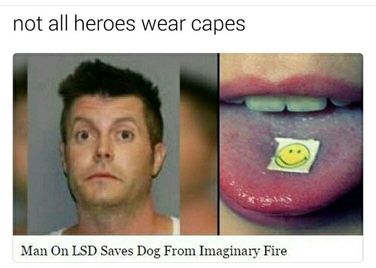 dank memes - man on lsd saves dog from imaginary fire - not all heroes wear capes Man On Lsd Saves Dog From Imaginary Fire