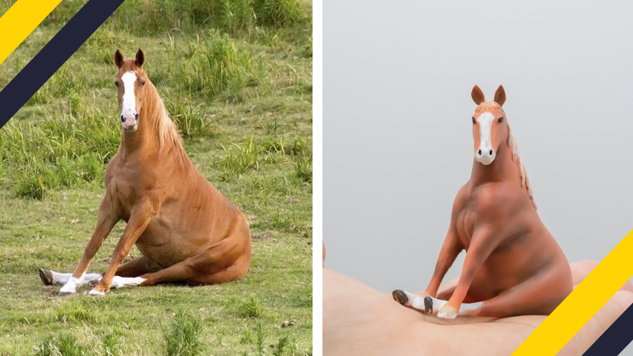 Animal Meme Sculptures -