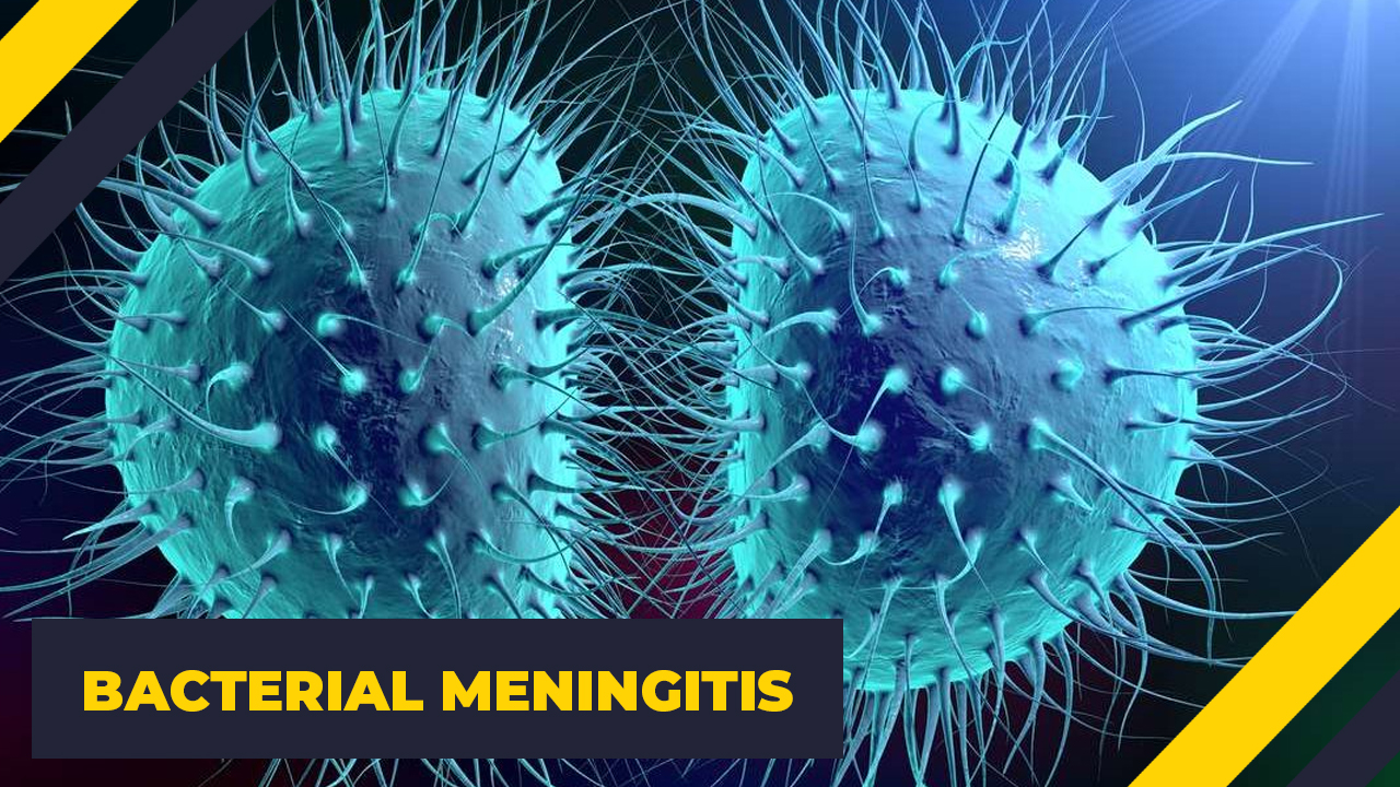Bacterial Meningitis Vyn Nnn