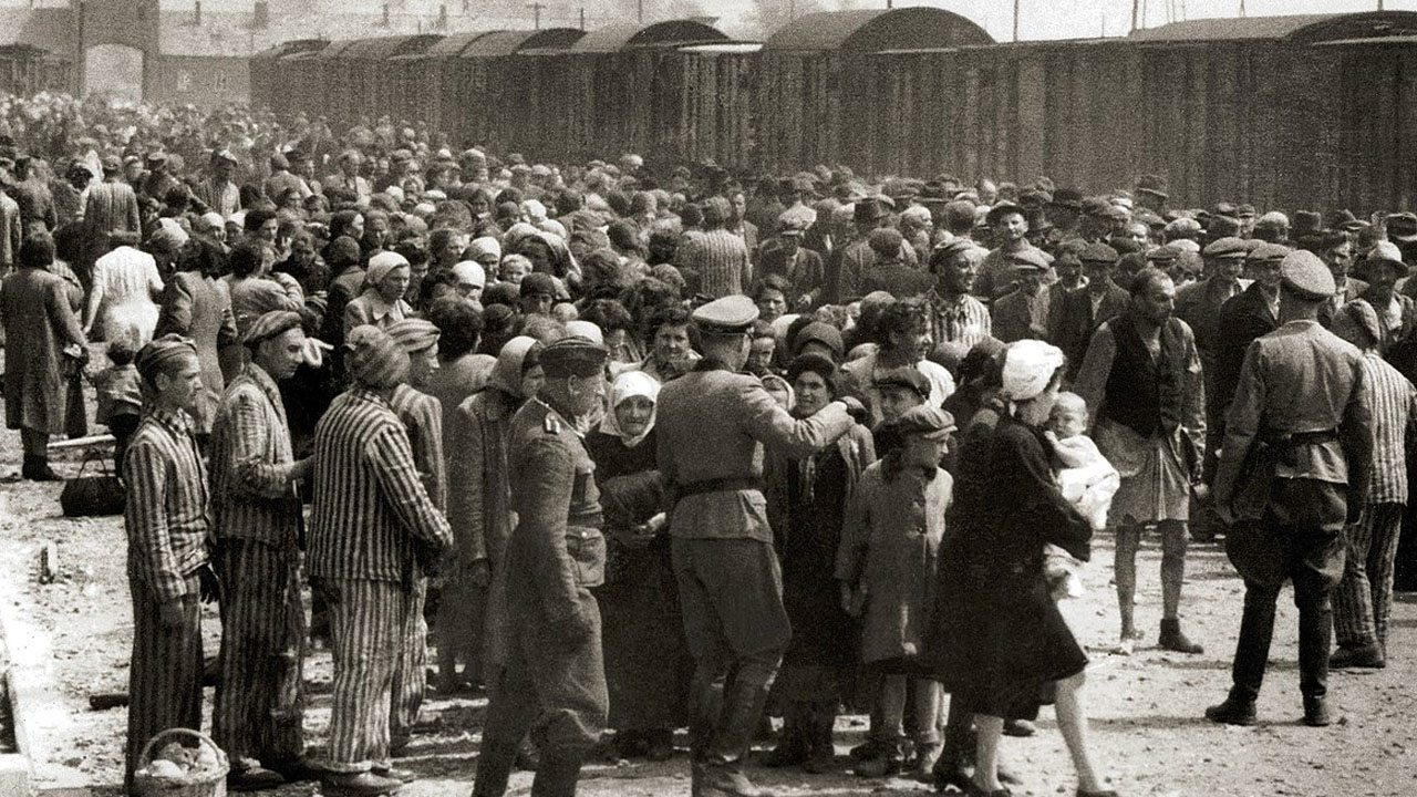 disturbing facts  - The Holocaust