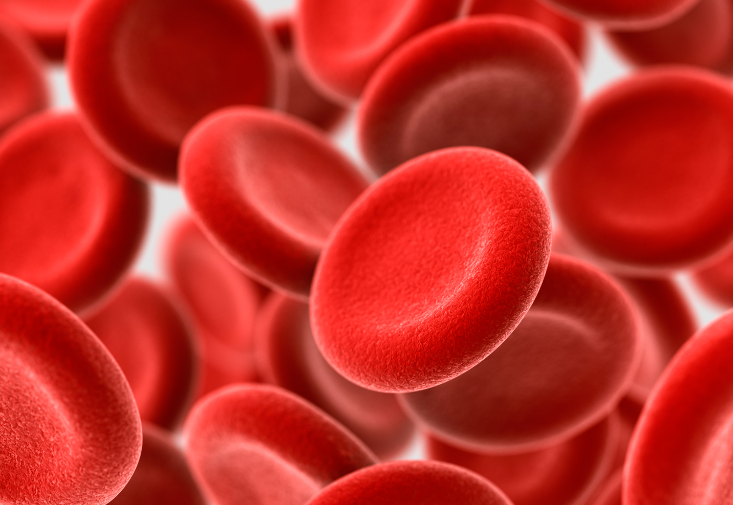 thigns women want men to know - red blood cells