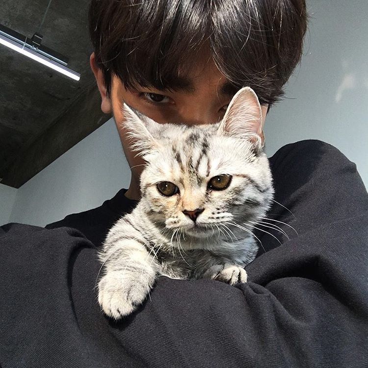 questions kids asked teachers - aesthetic korean boy with cat
