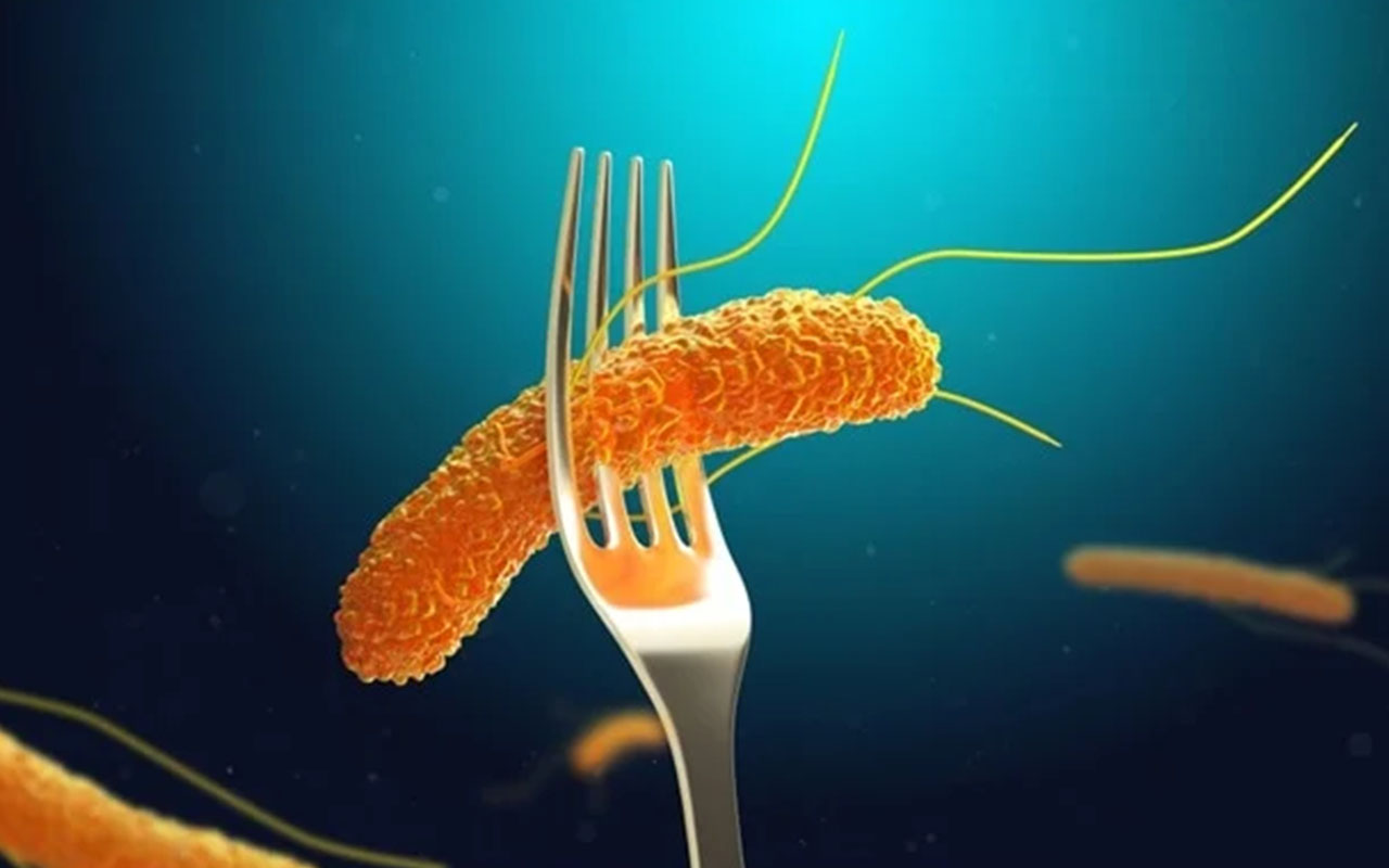 Scariest life experiences - salmonella foodborne illness