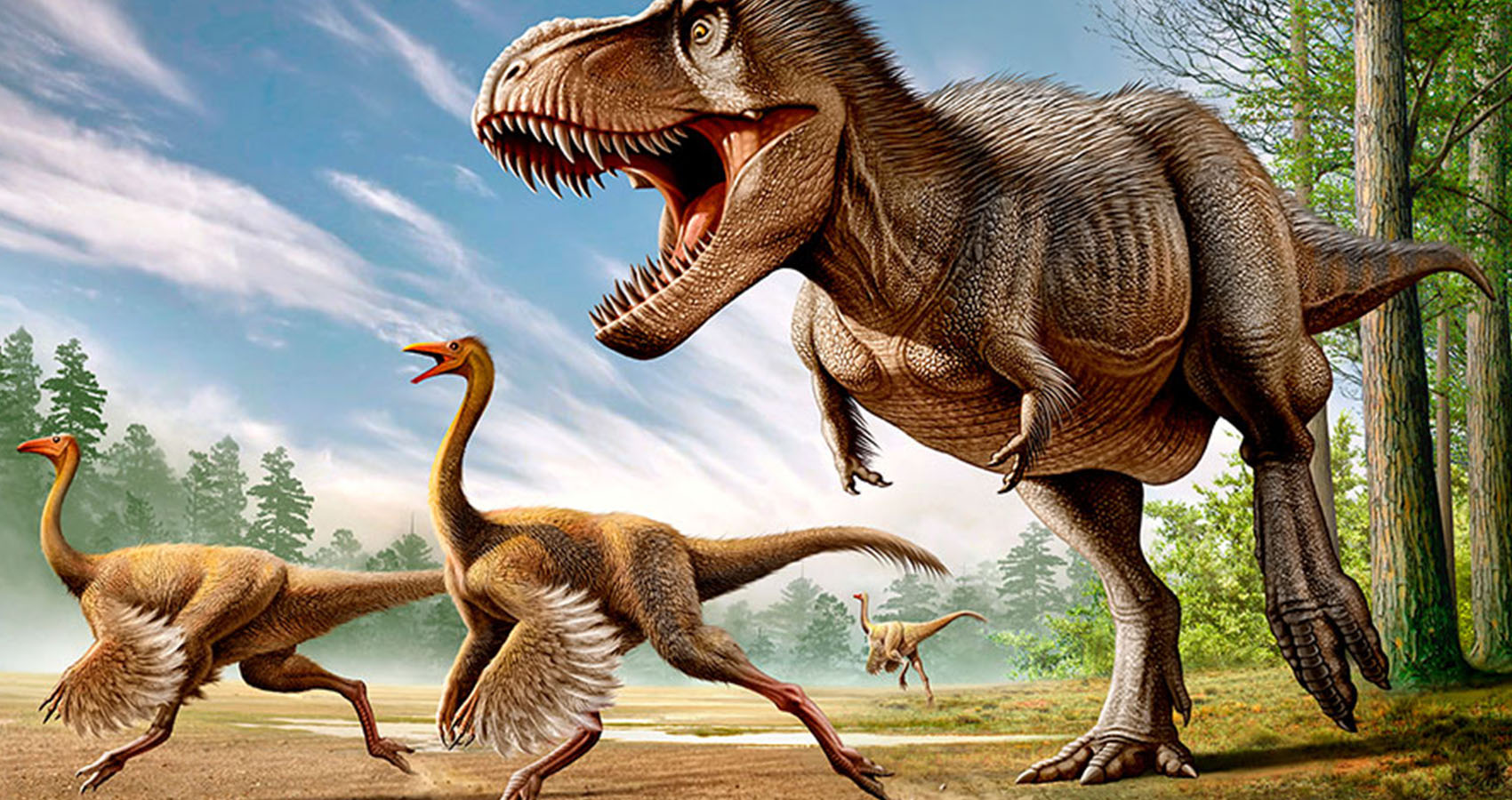 hard to believe facts - Dinosaurs are older than grass. Every artist rendition you've seen of them roaming fields is wrong. Most ground level plants were ferns or flowering bushes, not grass.