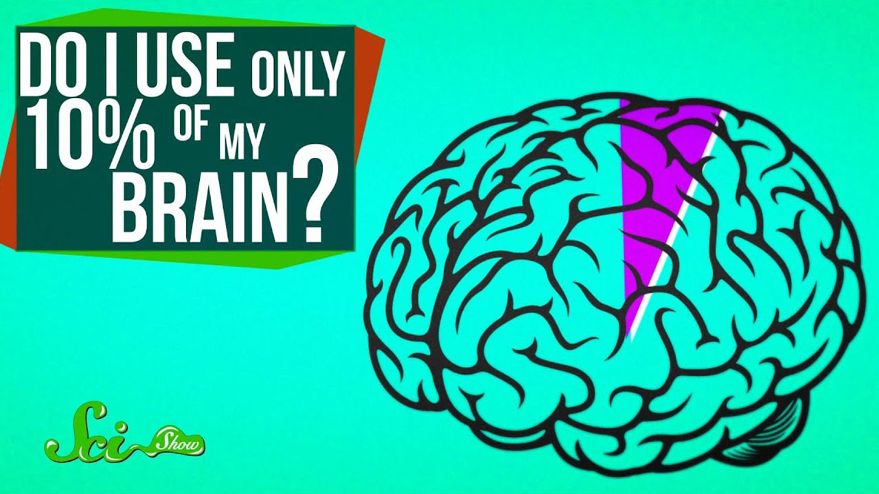 Facts that are actually myths - brain transparent background - Doi Use Only 10% Of My Brain? Sai Show