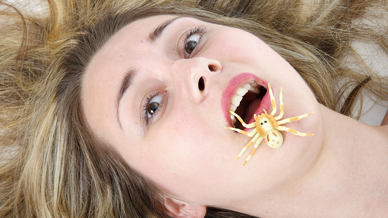 Facts that are actually myths - many spiders do you eat in your sleep