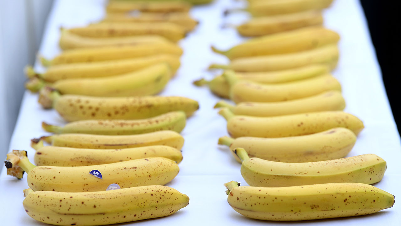 false facts - While bananas are tasty, the idea that they are like the best source of potassium for your diet is wildly overblown.