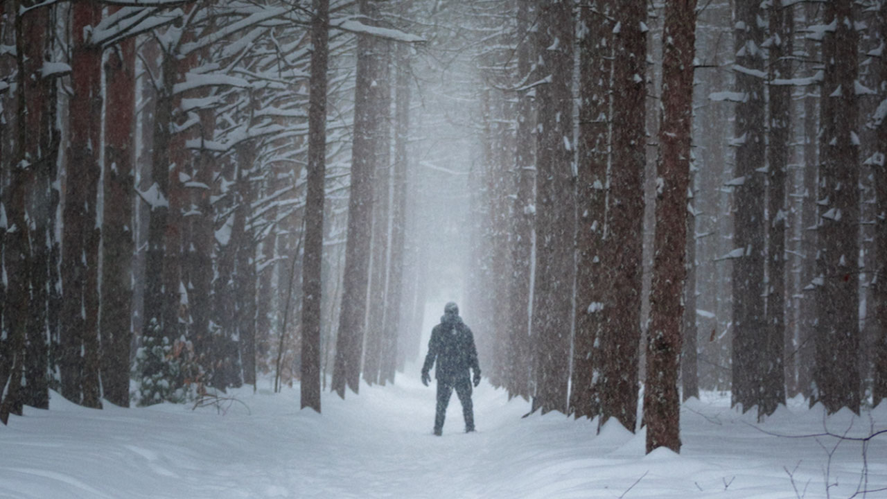 nightcrawler horror stories - scary snowy forest