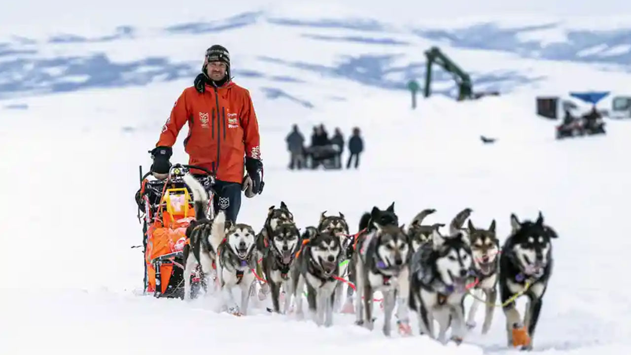 Make-a-wish wishes - He wished to be in the Iditarod so they flew his family to Alaska and he got to meet all the dogs and ride in a sled for a leg of the race