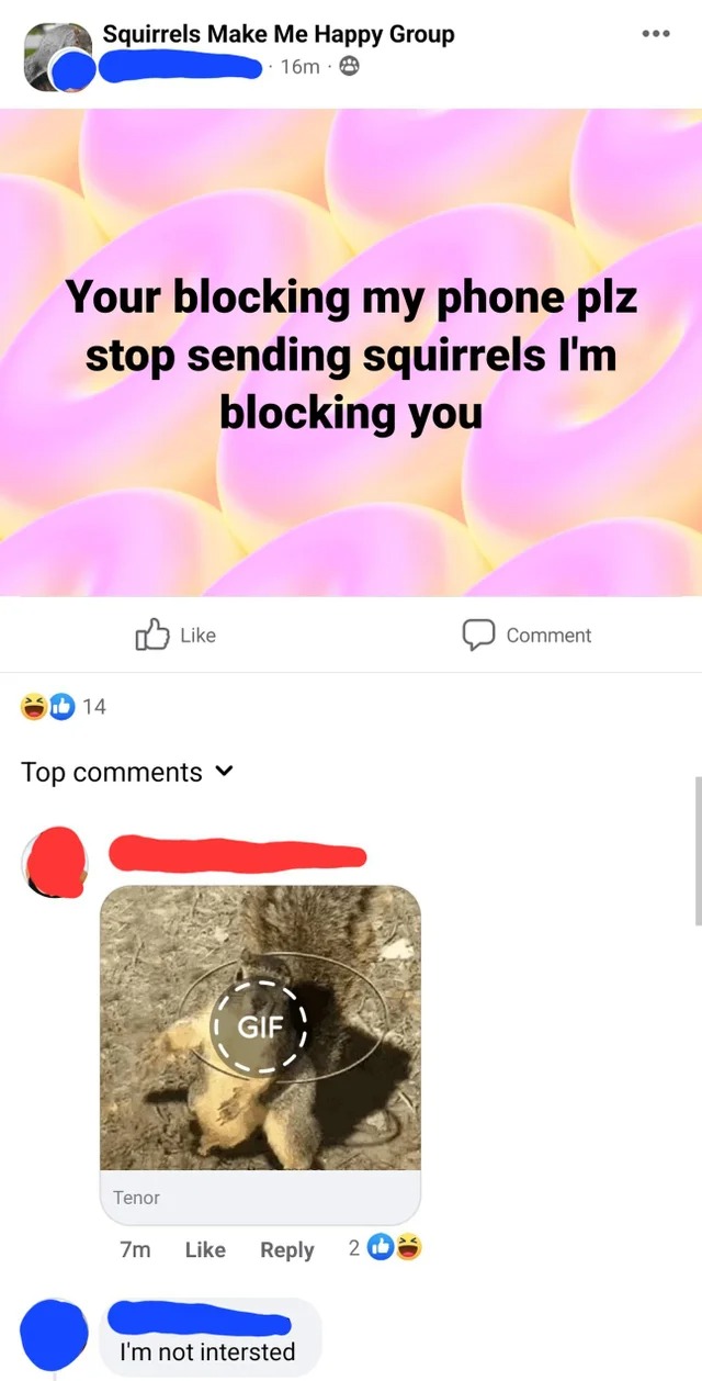 screenshot - Squirrels Make Me Happy Group