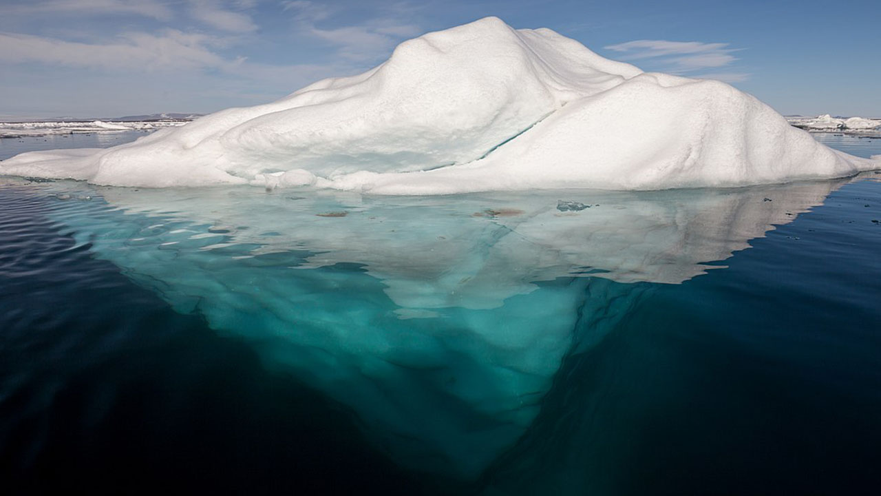 space facts - chlamydia arctic ocean