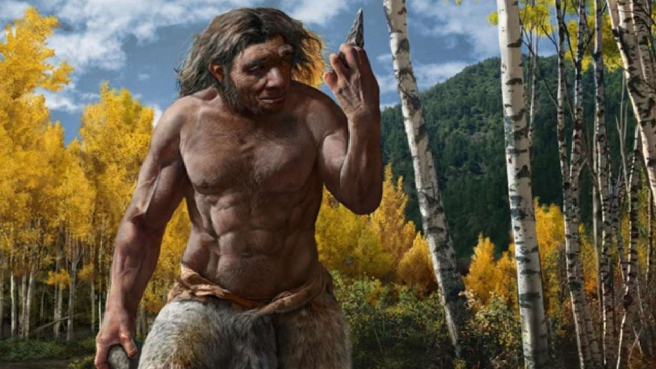 neanderthal facts - homo longi