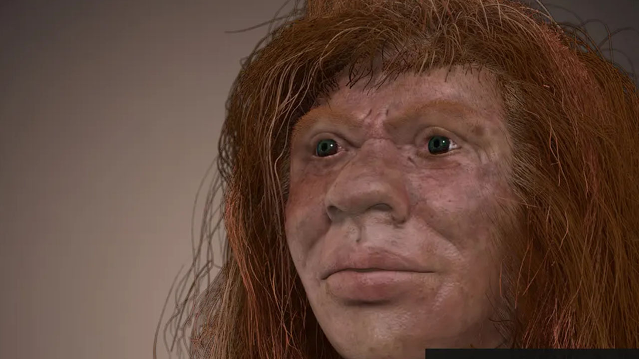 neanderthal facts - denny denisovan