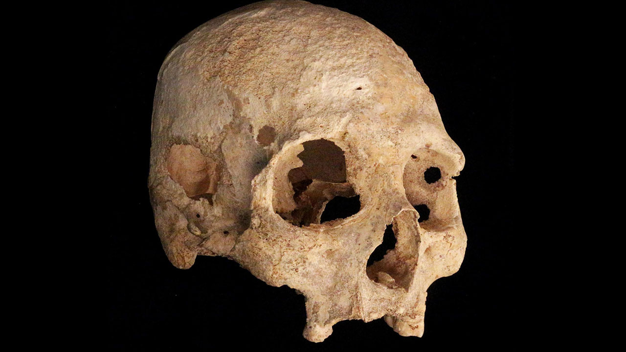 neanderthal facts -