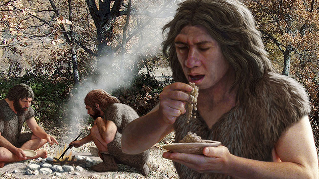 neanderthal facts - did our ancestors eat
