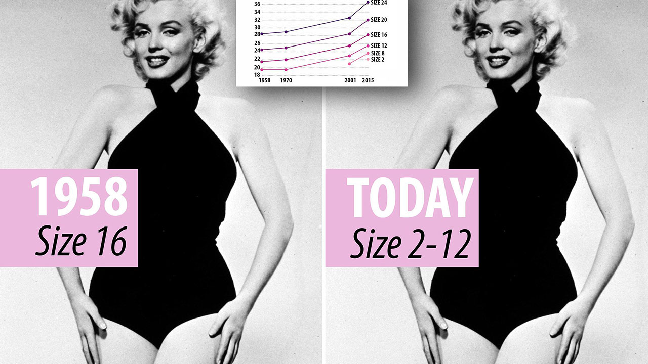 Marilyn Monroe Facts - marilyn monroe size - 1958 Size 16 36 34 280 26 240 22 20 18 1958 1970 Size 24 Size 20 Size 16 Size 12 Size 8 Size 2 2001 2015 Today Size 212