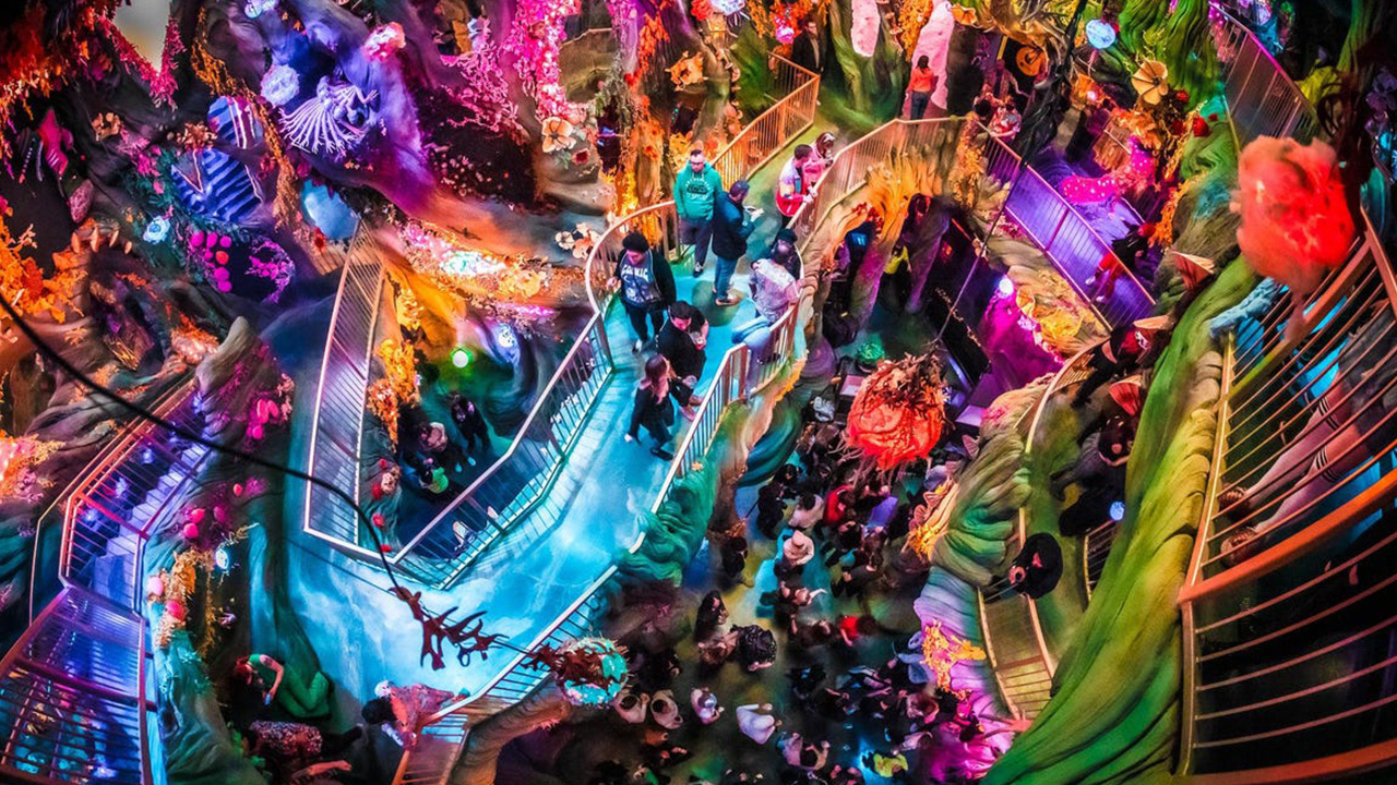 "'Meow Wolf' (immersive art collective that built the 'House of Eternal Return' in Santa Fe, Las Vegas Area 51 center, etc.) got its name by having all the founders put two scraps of paper with a word on each one in a hat, and the first two scraps drawn became the name of the collective" - u/abaganoush