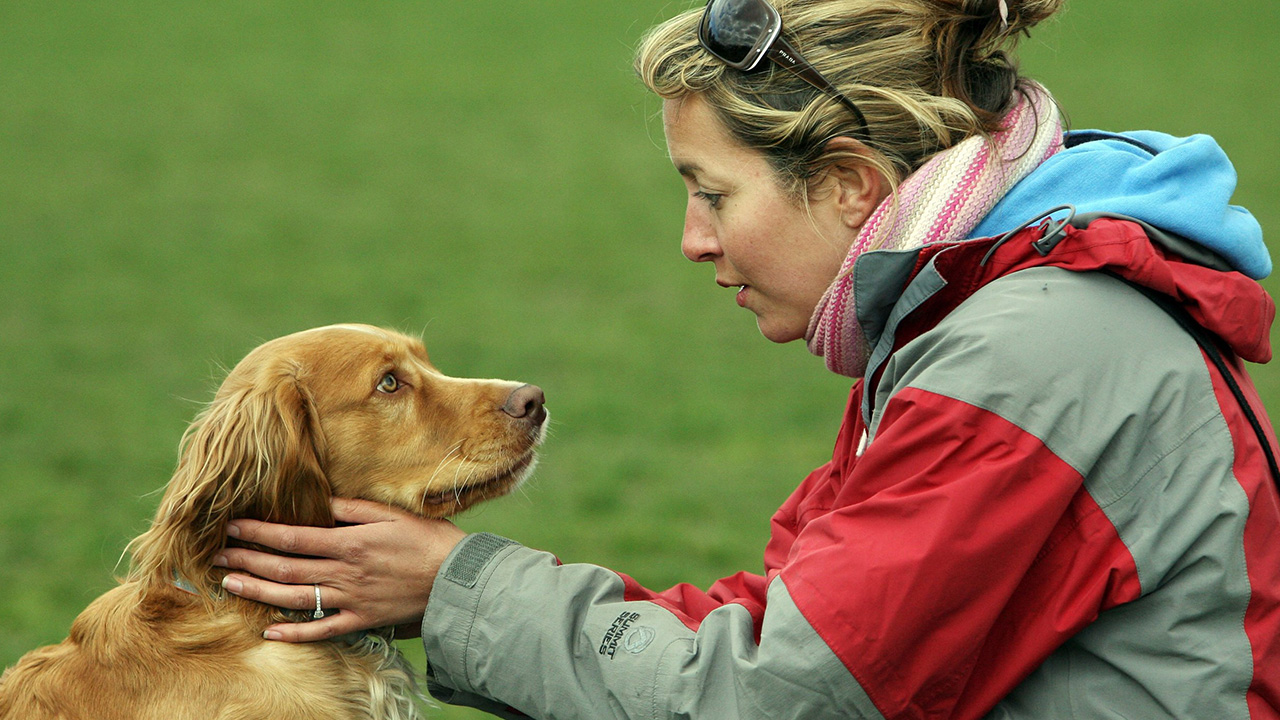 "Research has shown that dogs actually like the silly, high-pitched voice their owners use to talk to them." - u/lemondeisyours