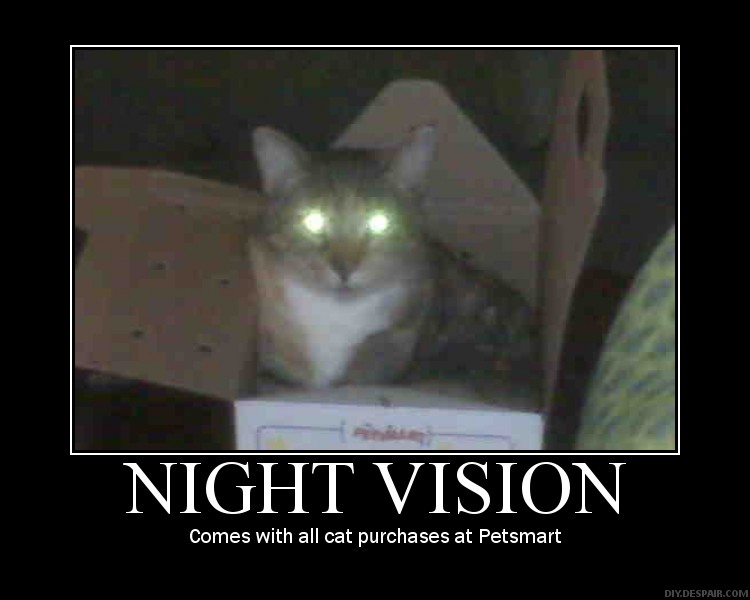 night vision cat from petsmart