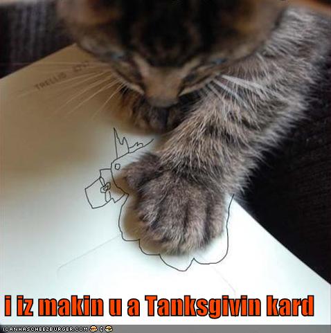 LOLCats Gallery 1