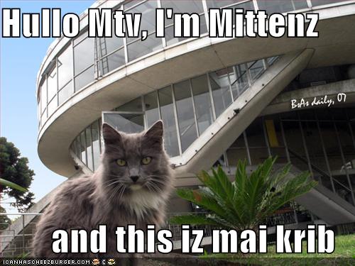 LOLCats Gallery 1