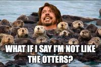 not like the otters - What If I Say I'M Not The Otters?