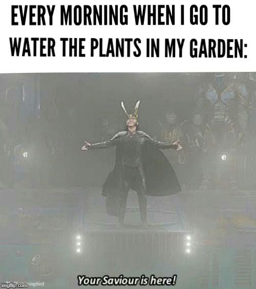 water in morning meme - Every Morning When I Go To Water The Plants In My Garden Your Saviour is here! imgflip.com