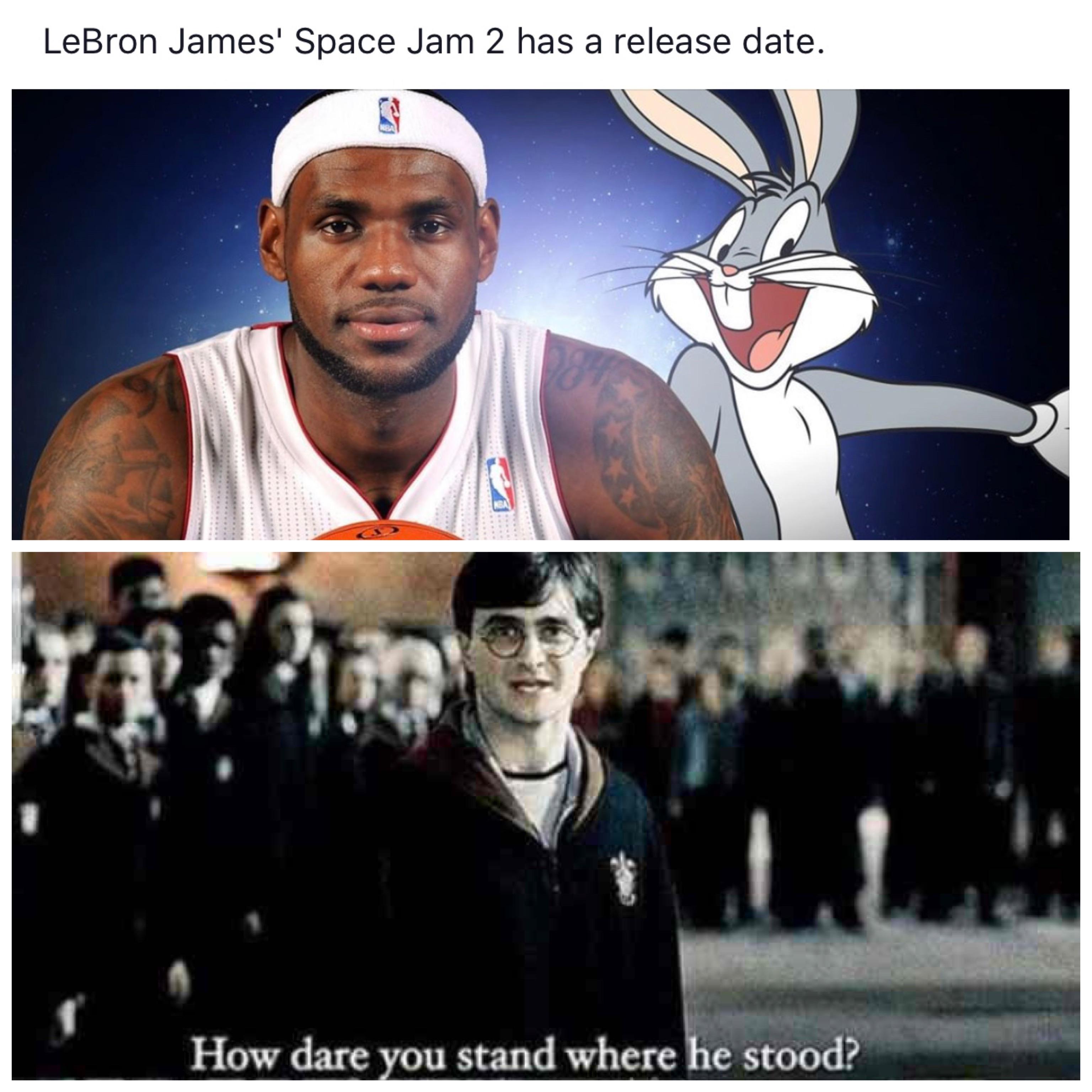 space jam meme harry potter