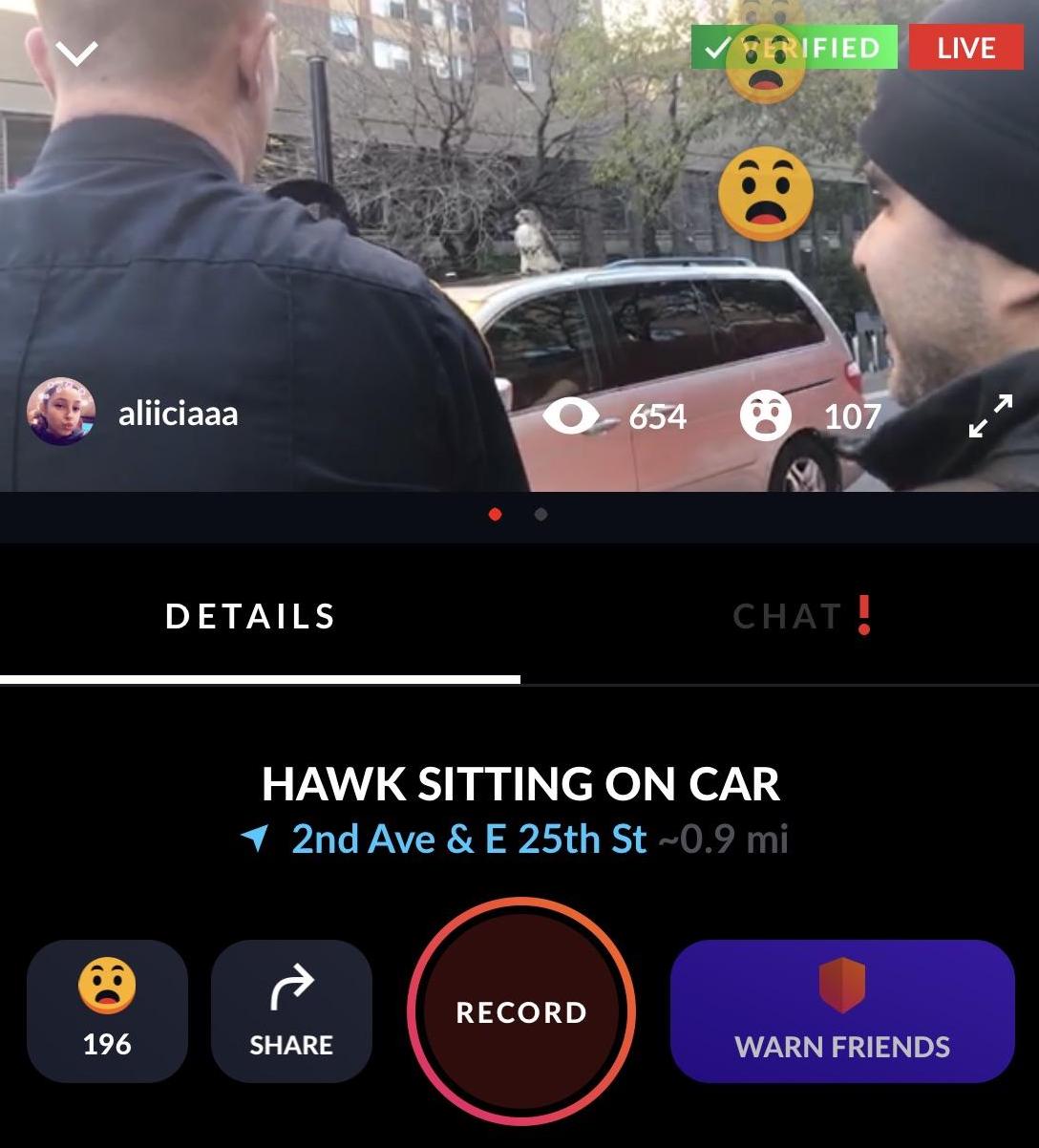screenshot - Srified Live aliiciaaa 0654 107 Details Chat! Hawk Sitting On Car 1 2nd Ave & E 25th St ~0.9 mi Record 196 Warn Friends