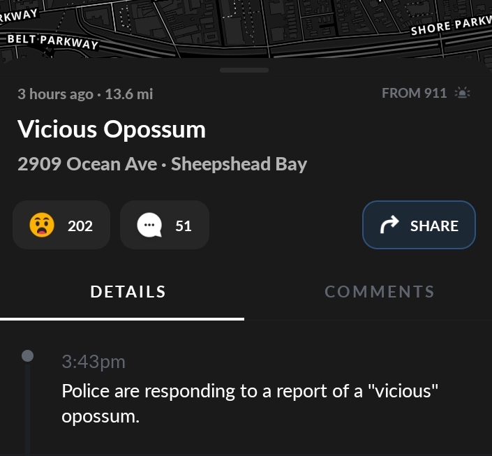 screenshot - Rkway Tudo Shore Parkv Belt Parkway F. 3 hours ago 13.6 mi From 911 2 Vicious Opossum 2909 Ocean Ave Sheepshead Bay 202 51 Details pm Police are responding to a report of a "vicious" opossum.