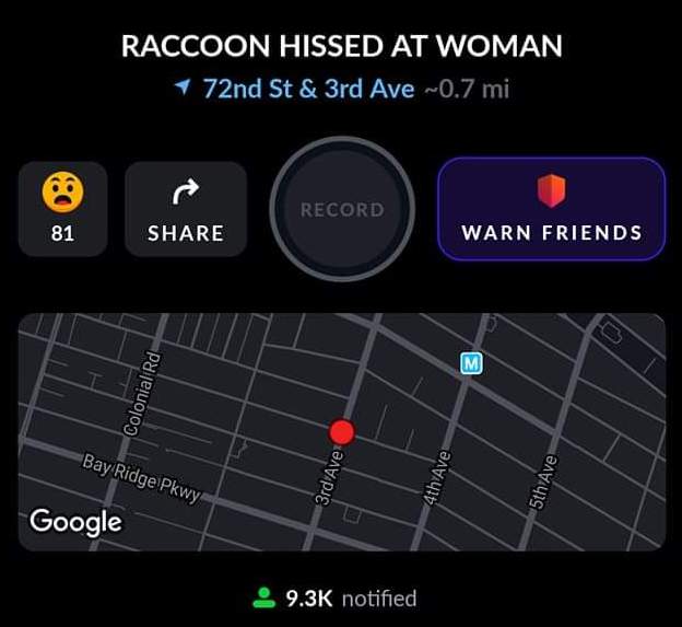 multimedia - Raccoon Hissed At Woman 1 72nd St & 3rd Ave ~0.7 mi Record 81 Warn Friends Colonial Rd Bay Ridge Pkwy 3rd Ave 4th Ave 5th Ave Google 8 notified