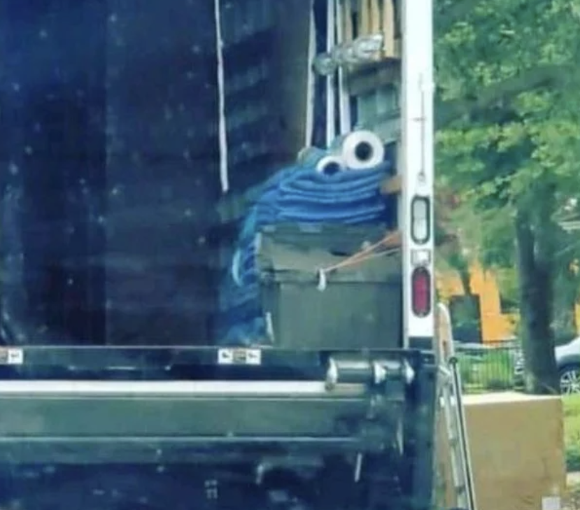 objects look like other things - pareidolia cookie monster