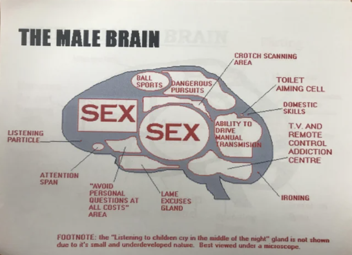 females writing males - male brain - The Male Brain Crotch Scanning Area Ball Sports Dangerous Pursuits Toilet Aiming Cell Domestic Skills Sex Sex Listening Particle Ability To Drive Manual Transmision T.V. And Remote Control Addiction Centre Attention Sp